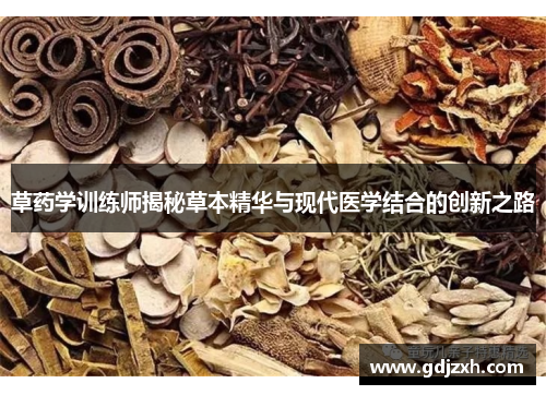草药学训练师揭秘草本精华与现代医学结合的创新之路